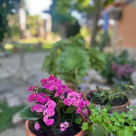 Ferienhaus Entre Dos Aguas Azuara
